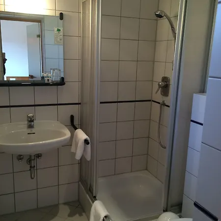 Erlenbacher Hof Hotel 3*