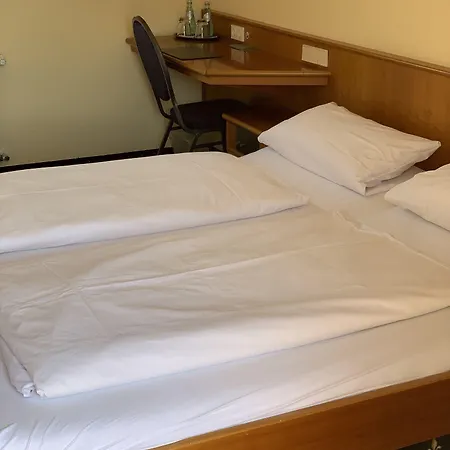 Erlenbacher Hof Hotel 3*